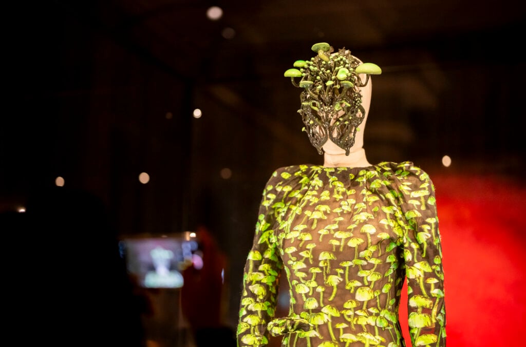 Fungi - vernissage (94).jpg