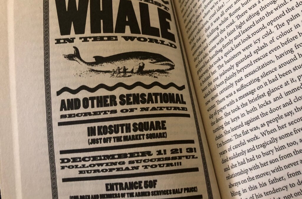 Illustration in the novel The Melancholy of Resistance