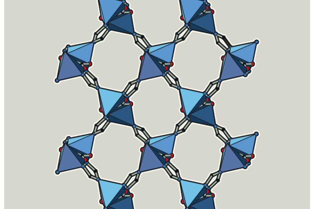 Illustration of CALF-20