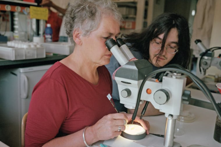A woman looking into a microscope
