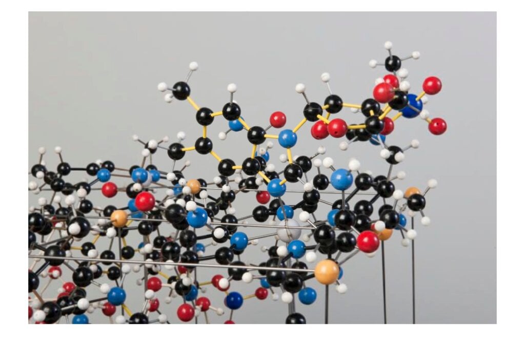 Detail from a model of vitamin B12 wet crystals