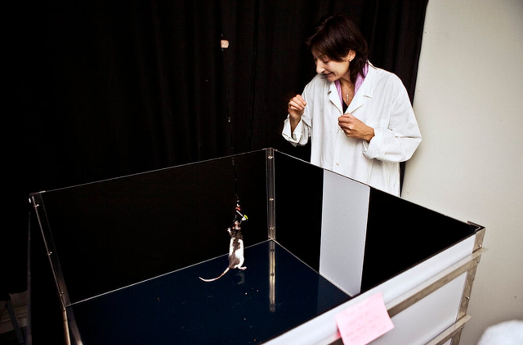 A woman and a mouse in a laboratory