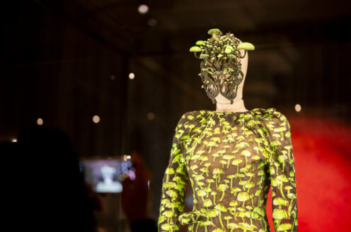 Fungi - vernissage (94).jpg