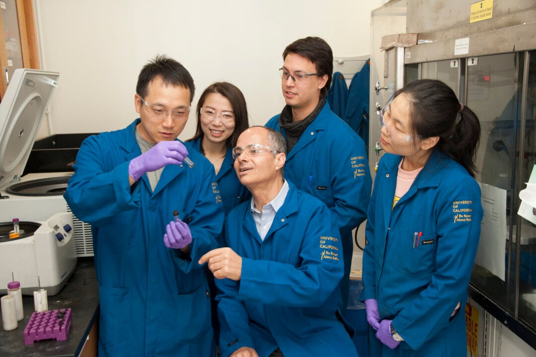 Five persons in a lab