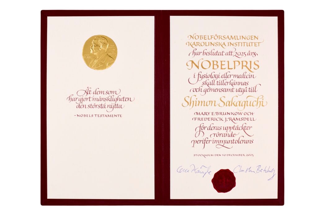 Shimon Sakaguchi's Nobel Prize diploma