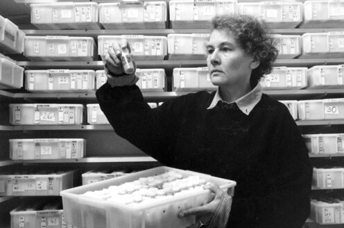 A woman looking at samples in a laboratory