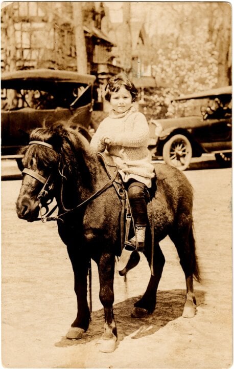A small girl riding a horse