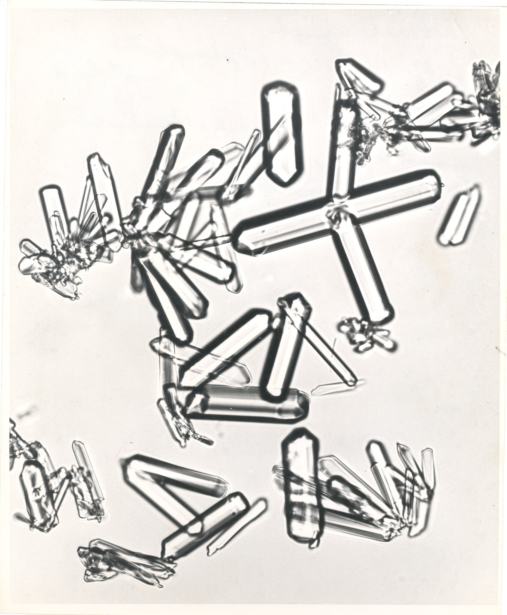 Photomicrograph of glucose-1-phosphate crystals