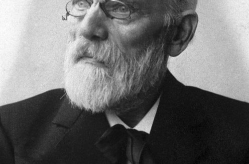 Johannes Diderik van der Waals