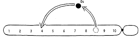 Control element Ds jumps