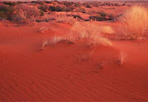 Australian desert