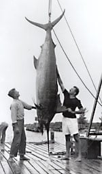 Ernest Hemingway with a big fish.