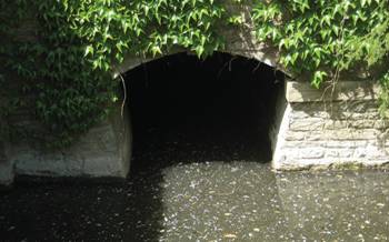 Trill Mill stream. Entry from Memorial Garden south of the College. Progresses under the town and emerges, after about two miles, in West Oxford. 