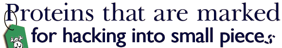 Proteins that are marked for hacking into small pieces
