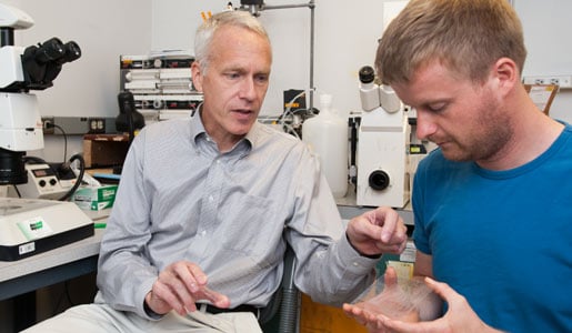 Brian K. Kobilka in his laboratory