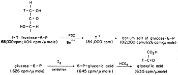 Formula.