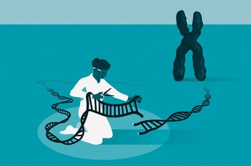 Using the genetic scissors