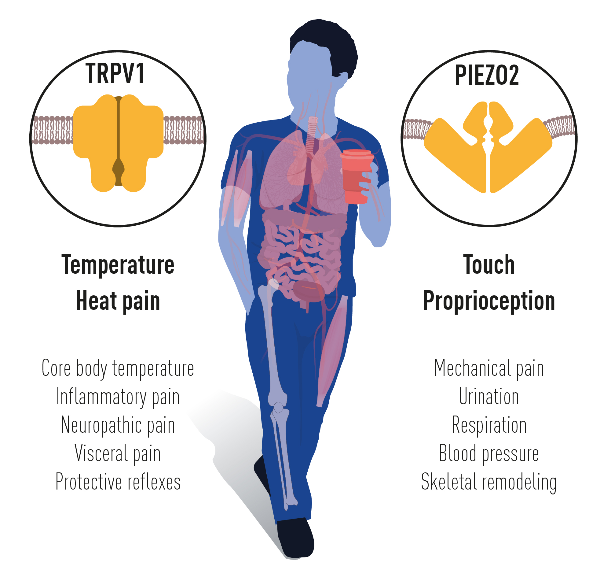 press medicine2021 figure4