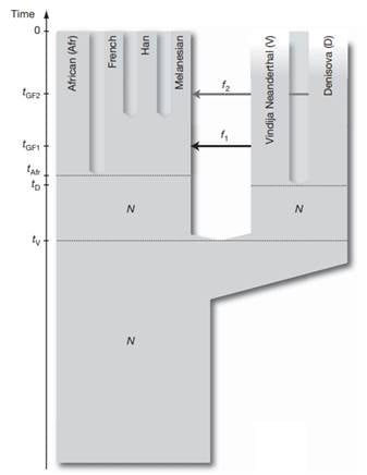 A model of population history