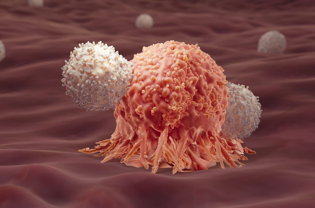 Illustration of T-cells attacking a cancer cell