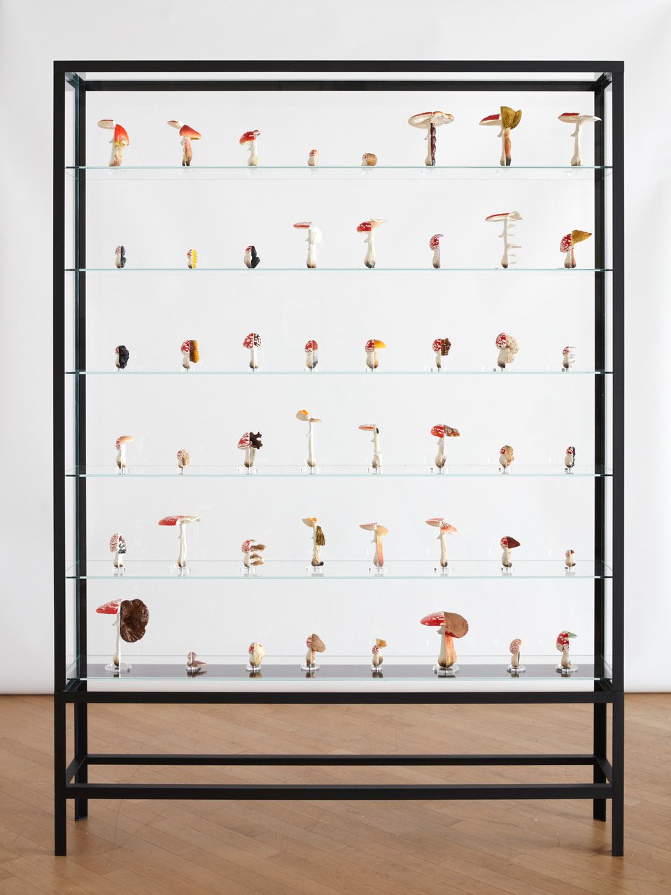 image received via email