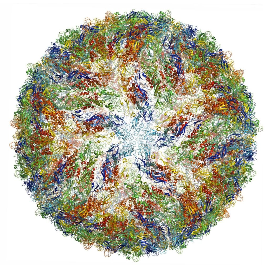 Illustration of the Zika virus