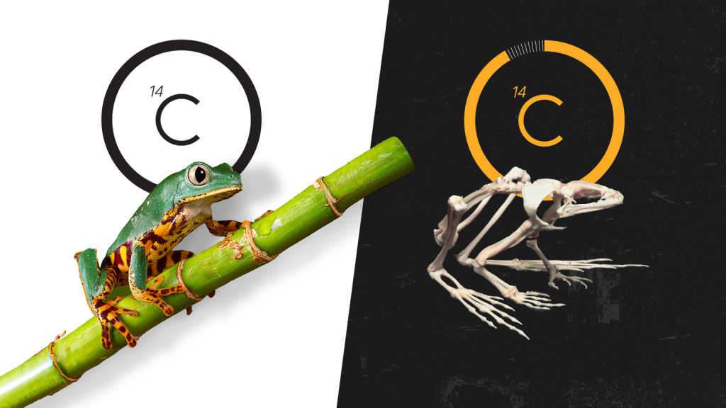 Nobel Prize in Chemistry