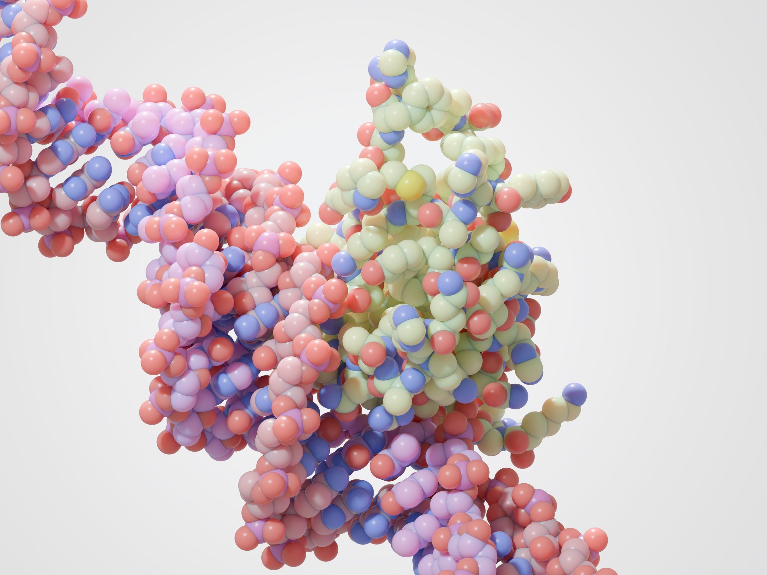 Illustration of transcription factor Foxp3 bound to DNA